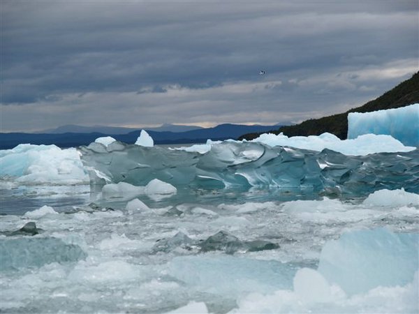 Glaciares-de-la-patagonia (116).JPG