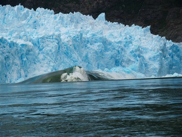 Glaciares-de-la-patagonia (138).JPG