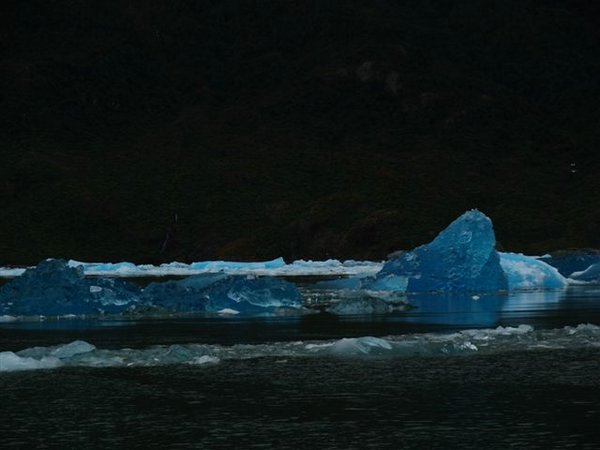 Glaciares-de-la-patagonia (150).JPG
