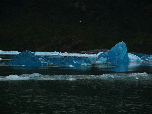 Glaciares-de-la-patagonia (151).JPG