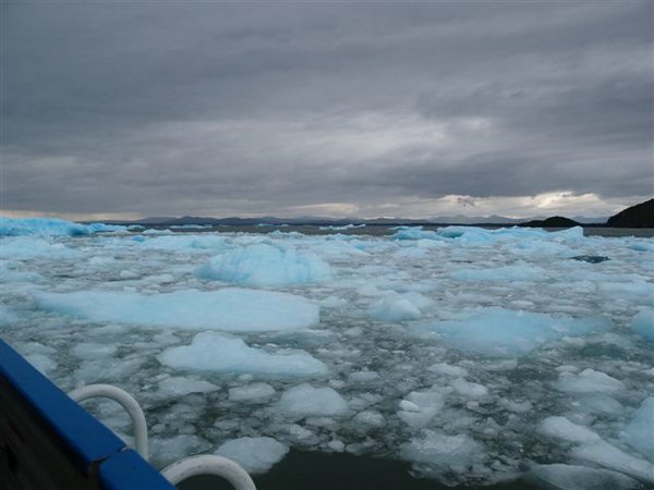 Glaciares-de-la-patagonia (162).JPG