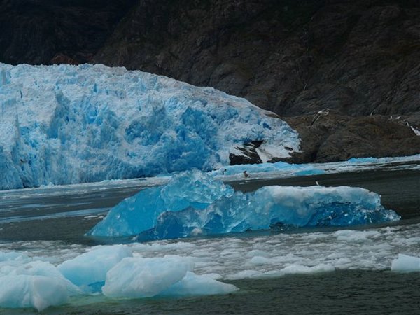 Glaciares-de-la-patagonia (68).jpg