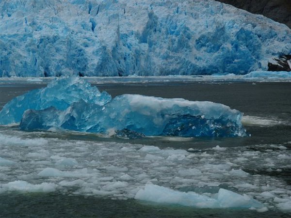 Glaciares-de-la-patagonia (71).jpg