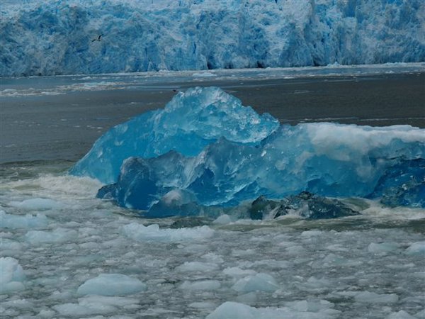 Glaciares-de-la-patagonia (72).jpg