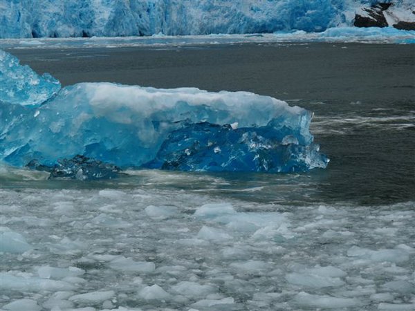Glaciares-de-la-patagonia (73).jpg