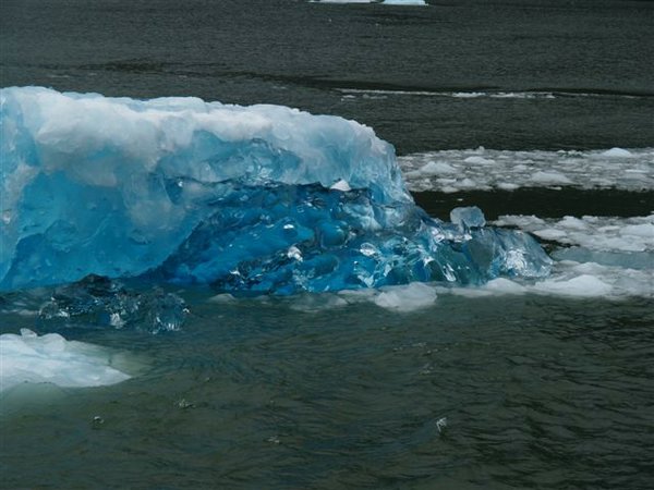 Glaciares-de-la-patagonia (75).jpg