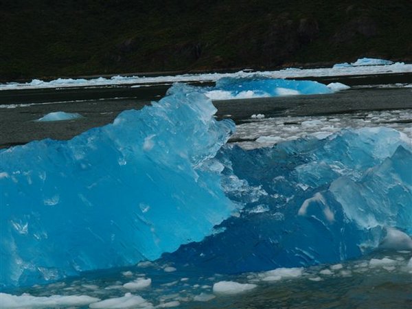 Glaciares-de-la-patagonia (79).jpg