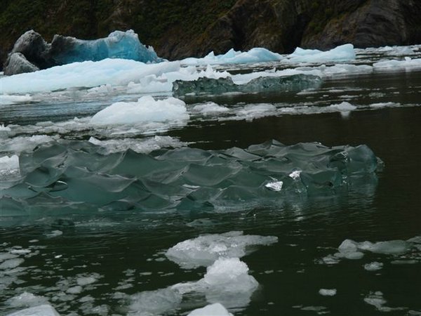 Glaciares-de-la-patagonia (82).JPG