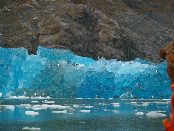Glaciares-de-la-patagonia (84).JPG