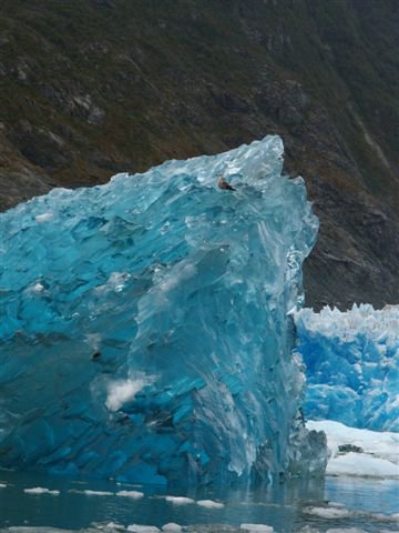 Glaciares-de-la-patagonia (87).JPG