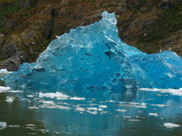 Glaciares-de-la-patagonia (90).JPG