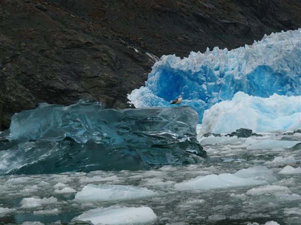 Glaciares-de-la-patagonia (94).JPG