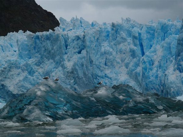Glaciares-de-la-patagonia (95).JPG