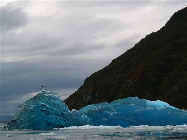 Glaciares-de-la-patagonia (98).JPG