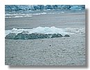 Glaciares-de-la-patagonia (52).jpg