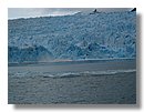 Glaciares-de-la-patagonia (57).jpg