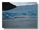 Glaciares-de-la-patagonia (66).jpg