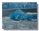 Glaciares-de-la-patagonia (72).jpg