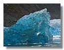 Glaciares-de-la-patagonia (86).JPG