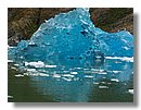 Glaciares-de-la-patagonia (89).JPG