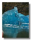 Glaciares-de-la-patagonia (91).JPG