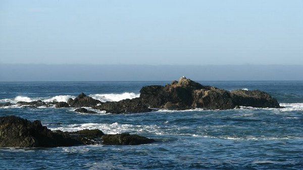 Coast-california-Pacific Ocean (05).jpg
