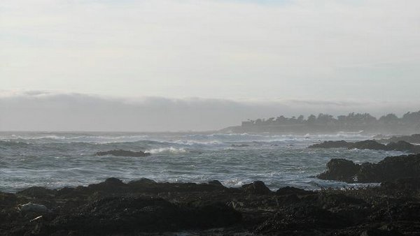 Coast-california-Pacific Ocean (16).jpg