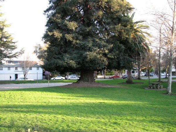 Parque-Palo-Alto (00).jpg