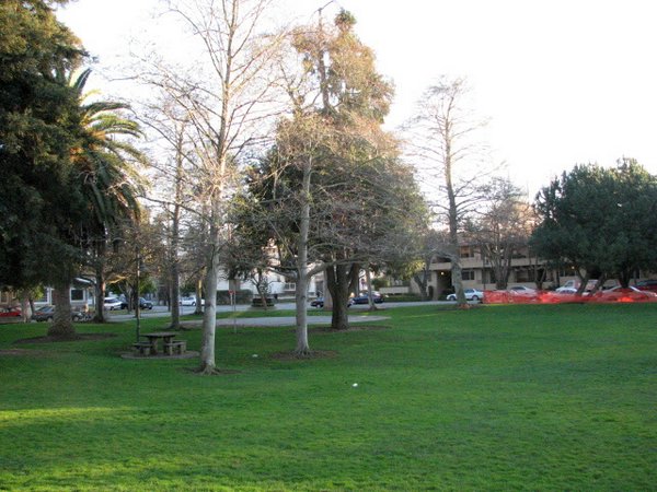 Parque-Palo-Alto (01).jpg