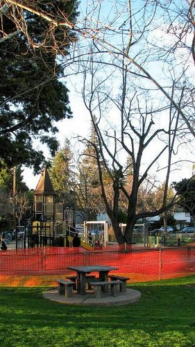 Parque-Palo-Alto (05).jpg