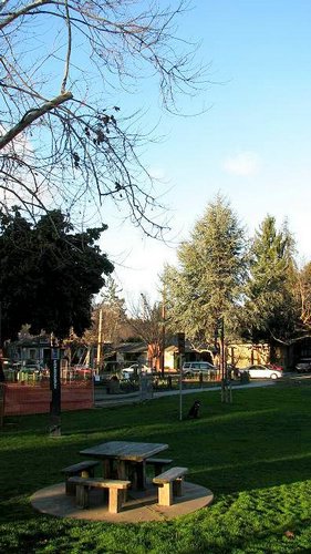 Parque-Palo-Alto (06).jpg