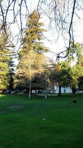 Parque-Palo-Alto (09).jpg