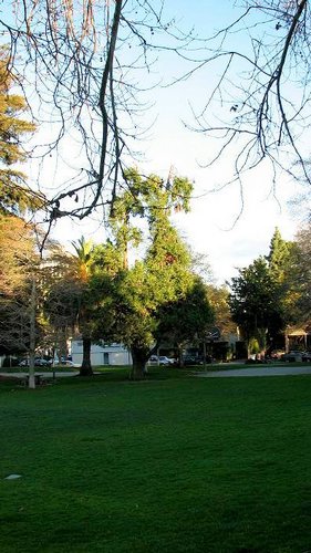 Parque-Palo-Alto (10).jpg