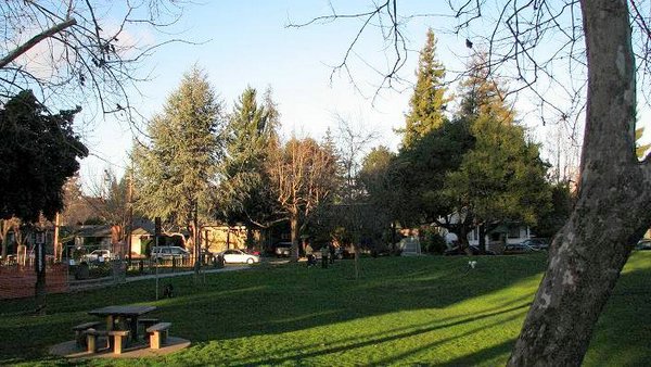 Parque-Palo-Alto (16).jpg