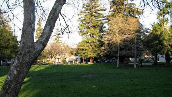 Parque-Palo-Alto (17).jpg