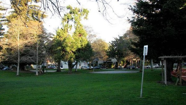 Parque-Palo-Alto (18).jpg