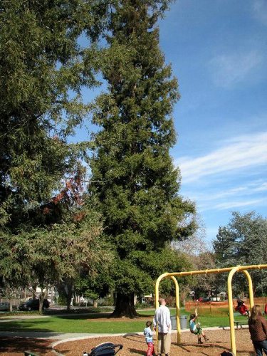 Parque-Palo-Alto (24).jpg