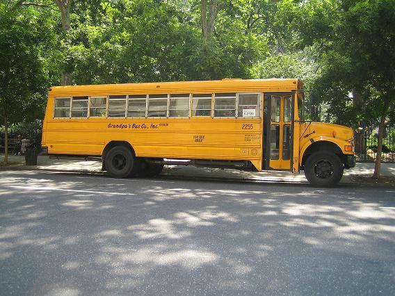 Omnibus-escolar(01).JPG