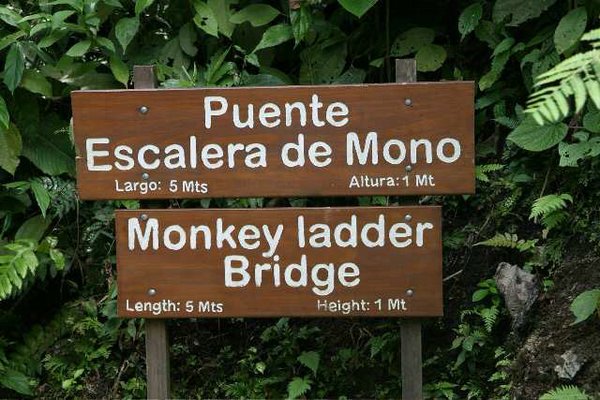 Puente-Escalera-de-Mono.jpg