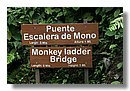 Puente-Escalera-de-Mono.jpg