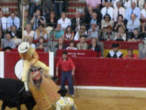 Feria-taurina-del-Pilar (06).JPG