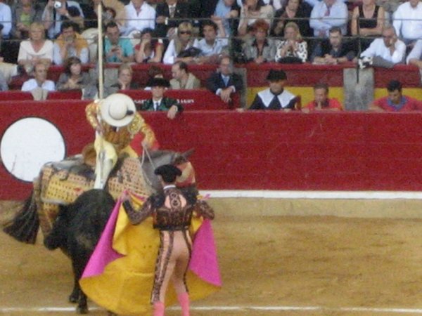 Feria-taurina-del-Pilar (08).JPG
