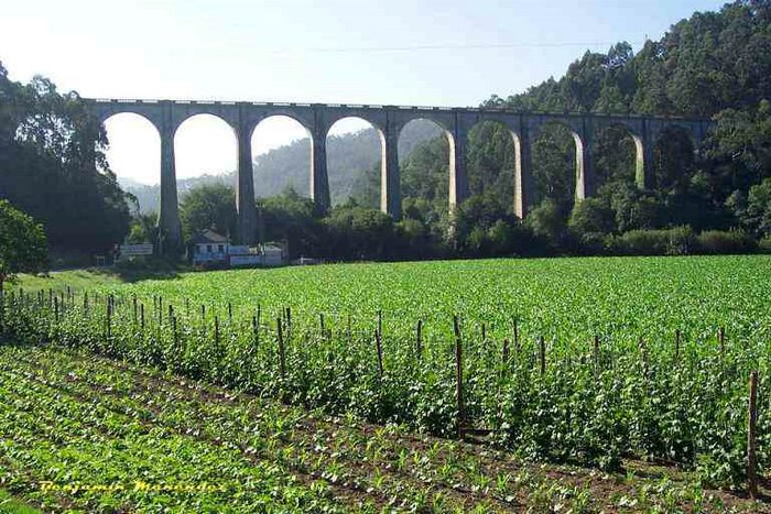 Viaducto-de-Canero-(Trevias).jpg