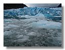 Glaciares-San-Rafael (10).JPG