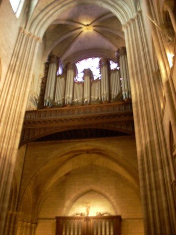 Notre-Dame (16).jpg