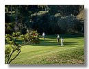 Golf-Aloha (03).jpg