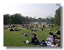 Parques-de-Londres (19).JPG