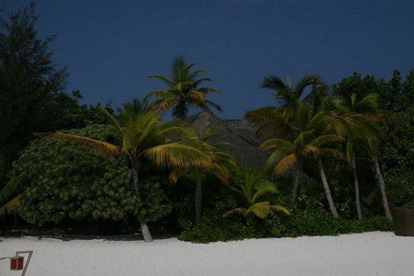 Islas-Maldivas (15).jpg