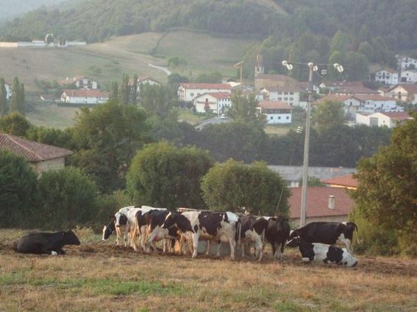 Valle-de-Ultzama (05).jpg