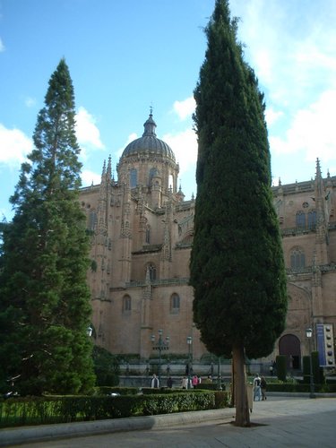Salamanca 052.jpg